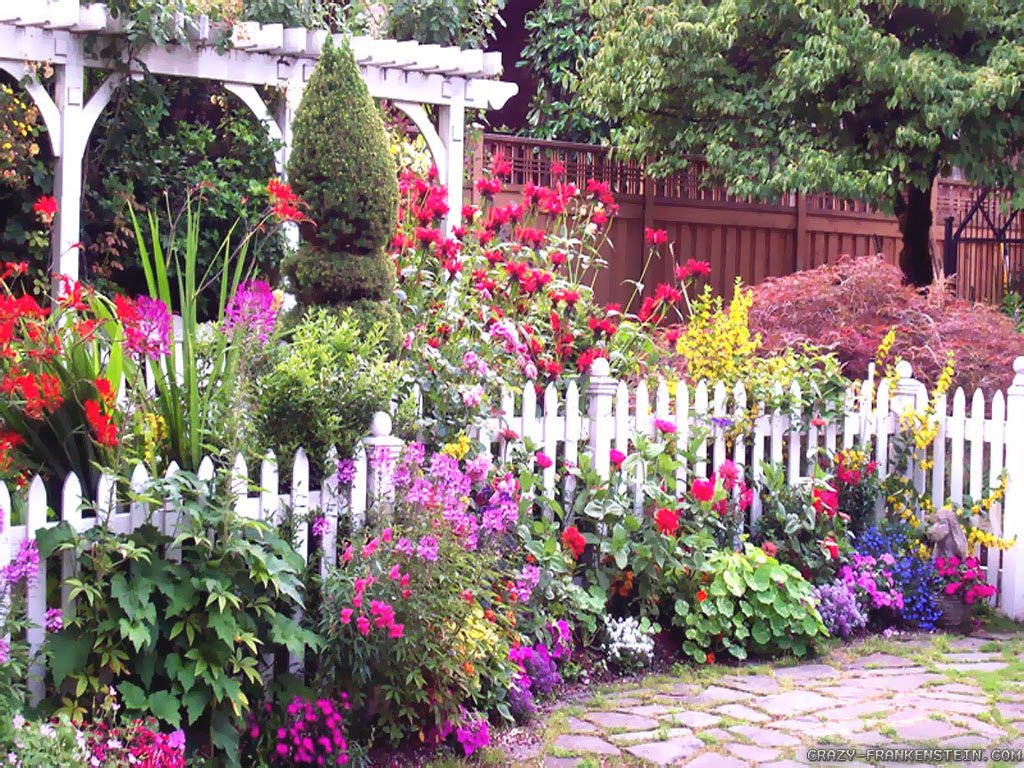 best garden flowers for color all summer - acegardener