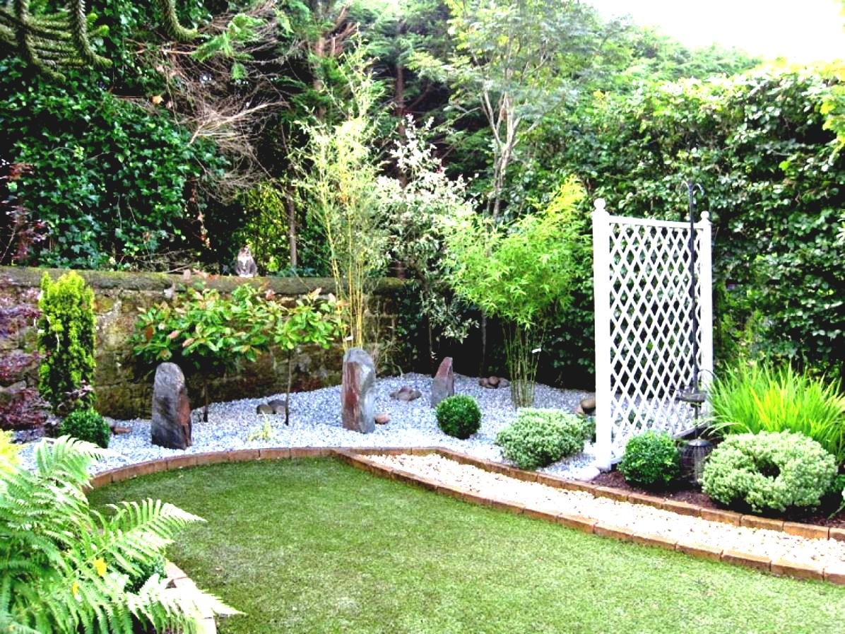 florida backyard landscaping. affordable agave umammyu croton
