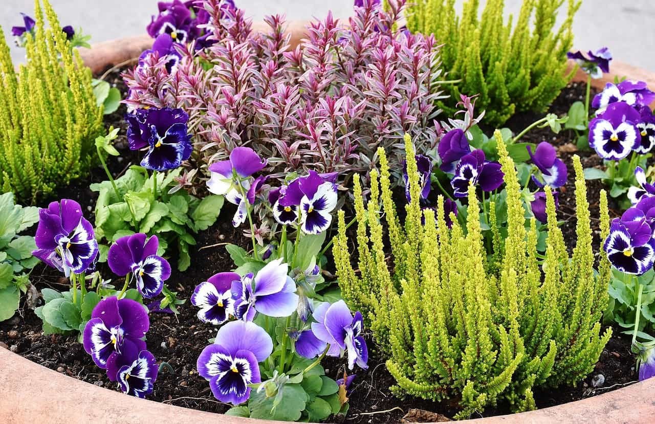 4 of the best garden design software for windows pc