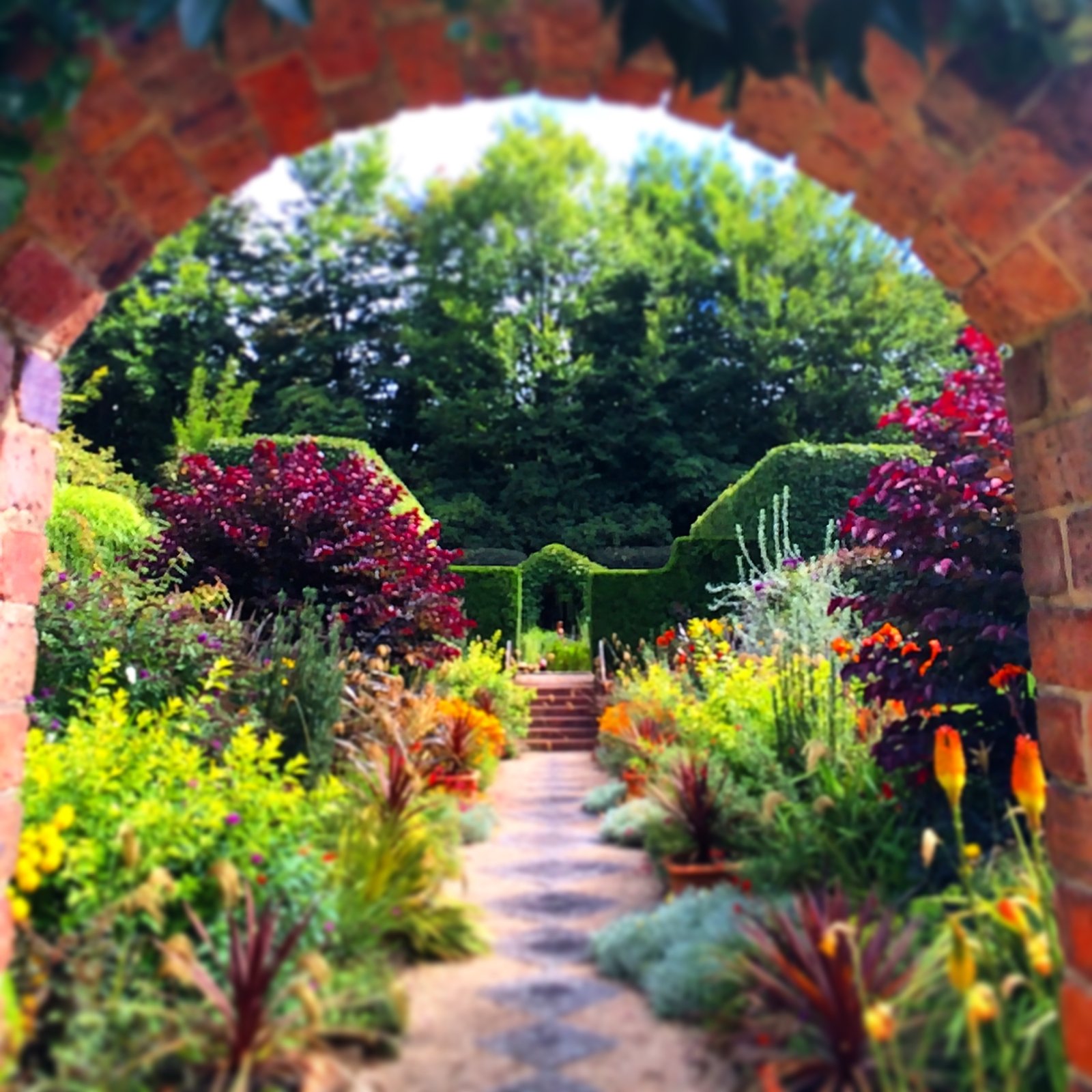 5 best gardens to visit in melbourne - private tours victoria