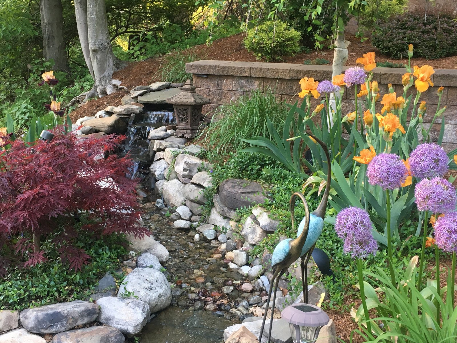 top 10 landscape design apps: parker homescape