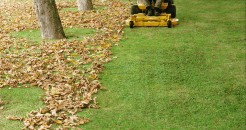 spring / fall clean-up | beauty-landscape
