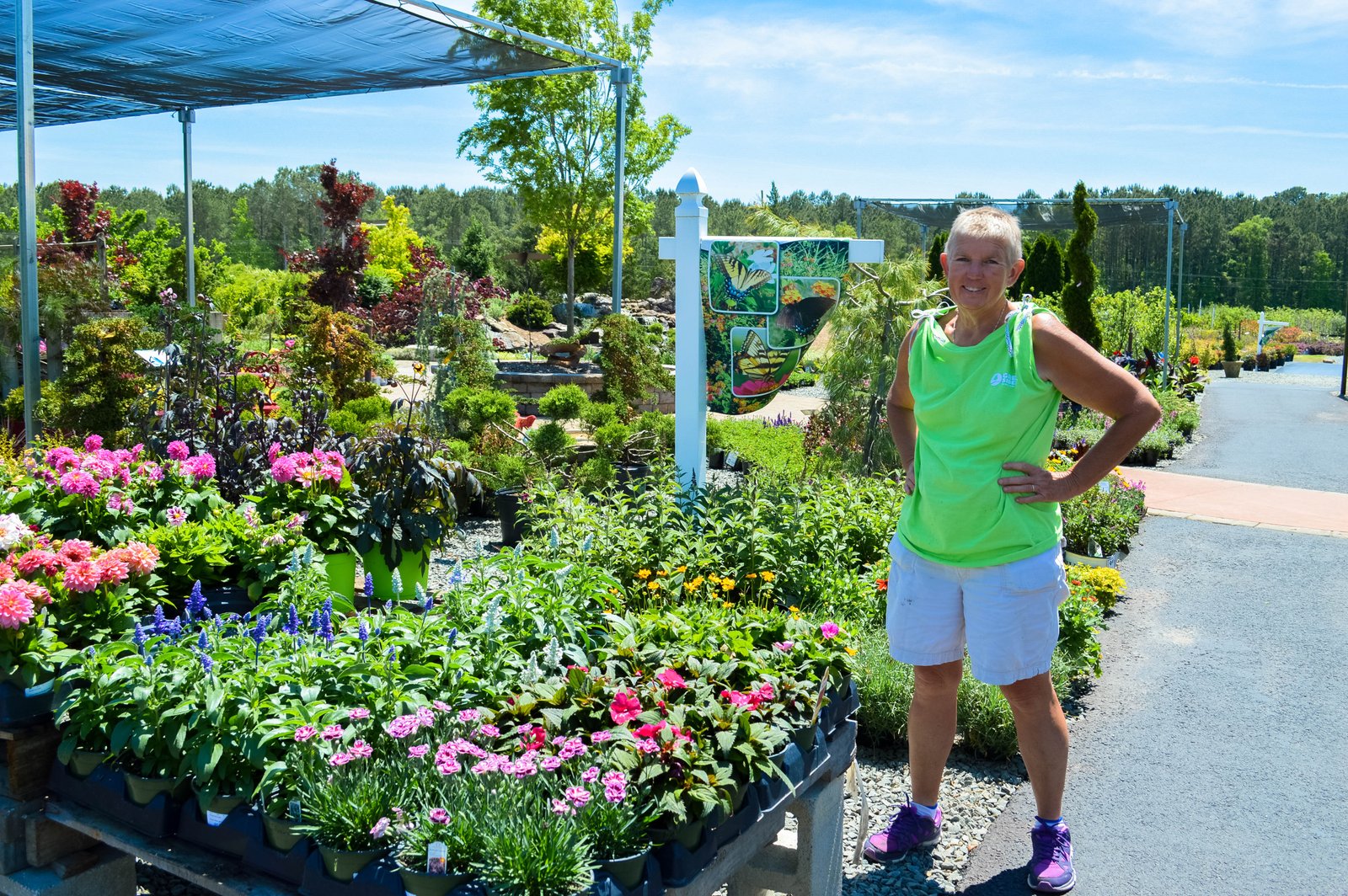 full sun perennial garden - green side up garden & gifts