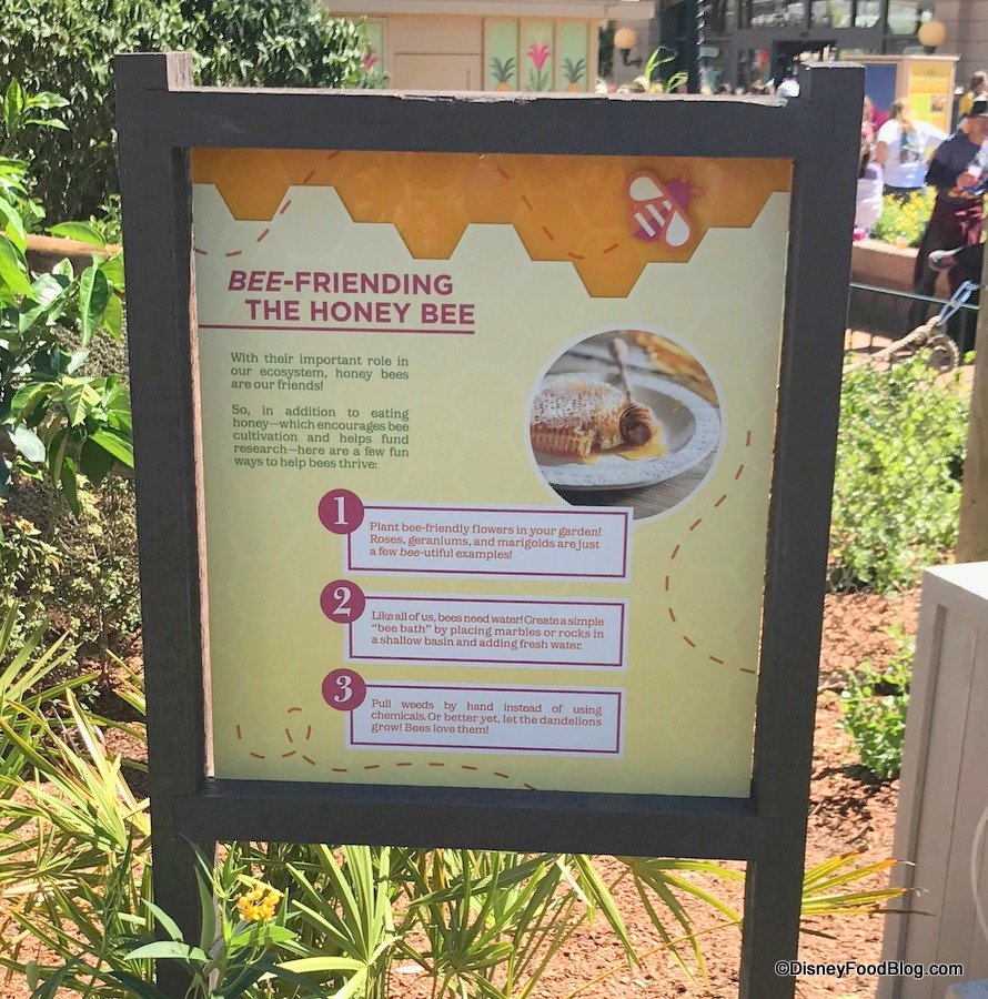 2019 epcot flower and garden festival – the honey bee-stro hosted by