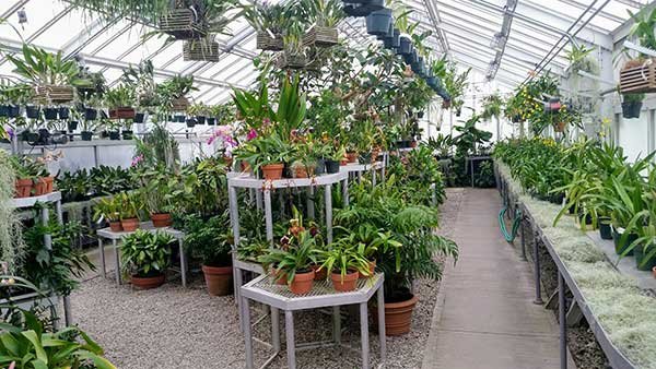 Canada's indoor growing market how hydroponics are ...