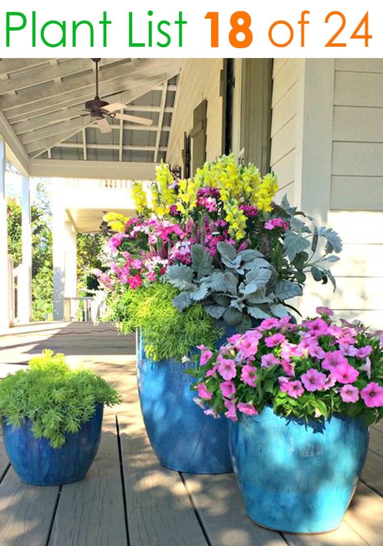 24 stunning container garden planting ideas - a piece of rainbow