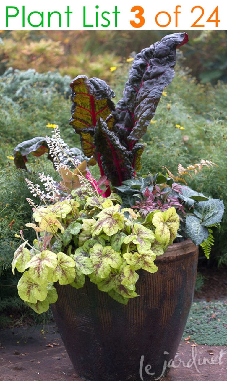 24 stunning container garden planting ideas - a piece of rainbow