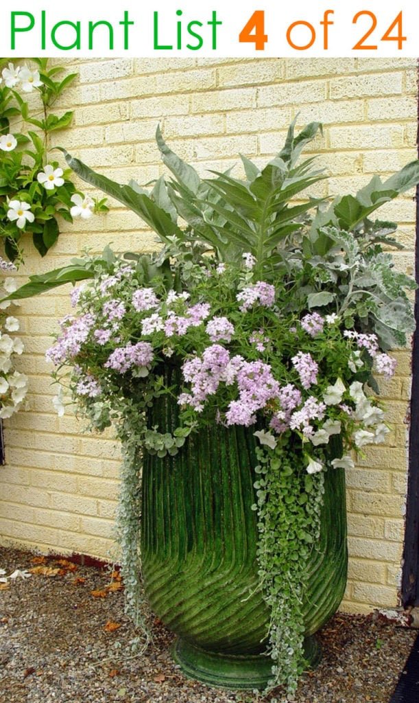 24 stunning container garden planting ideas - a piece of rainbow