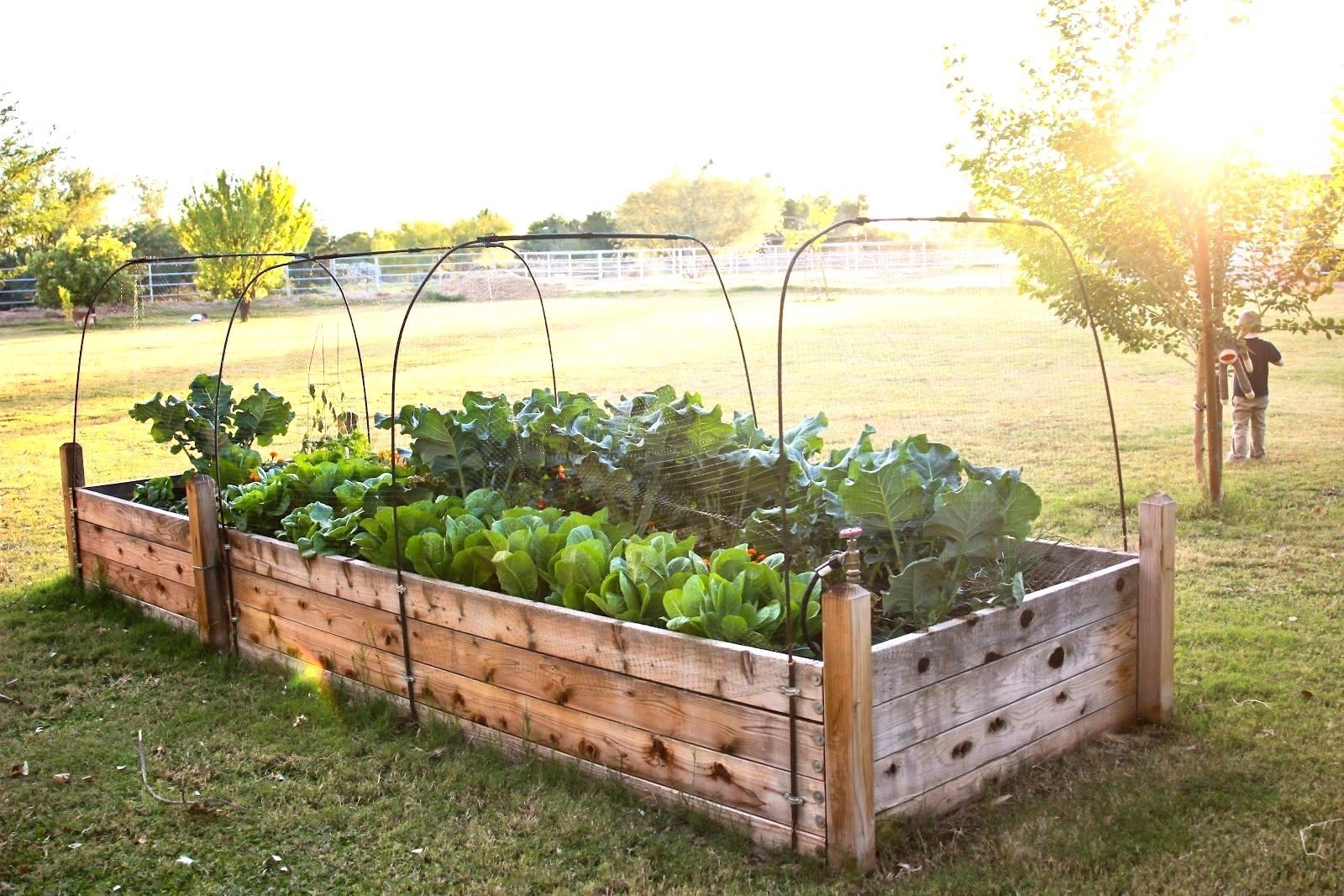 10 unique raised bed garden design ideas 2020