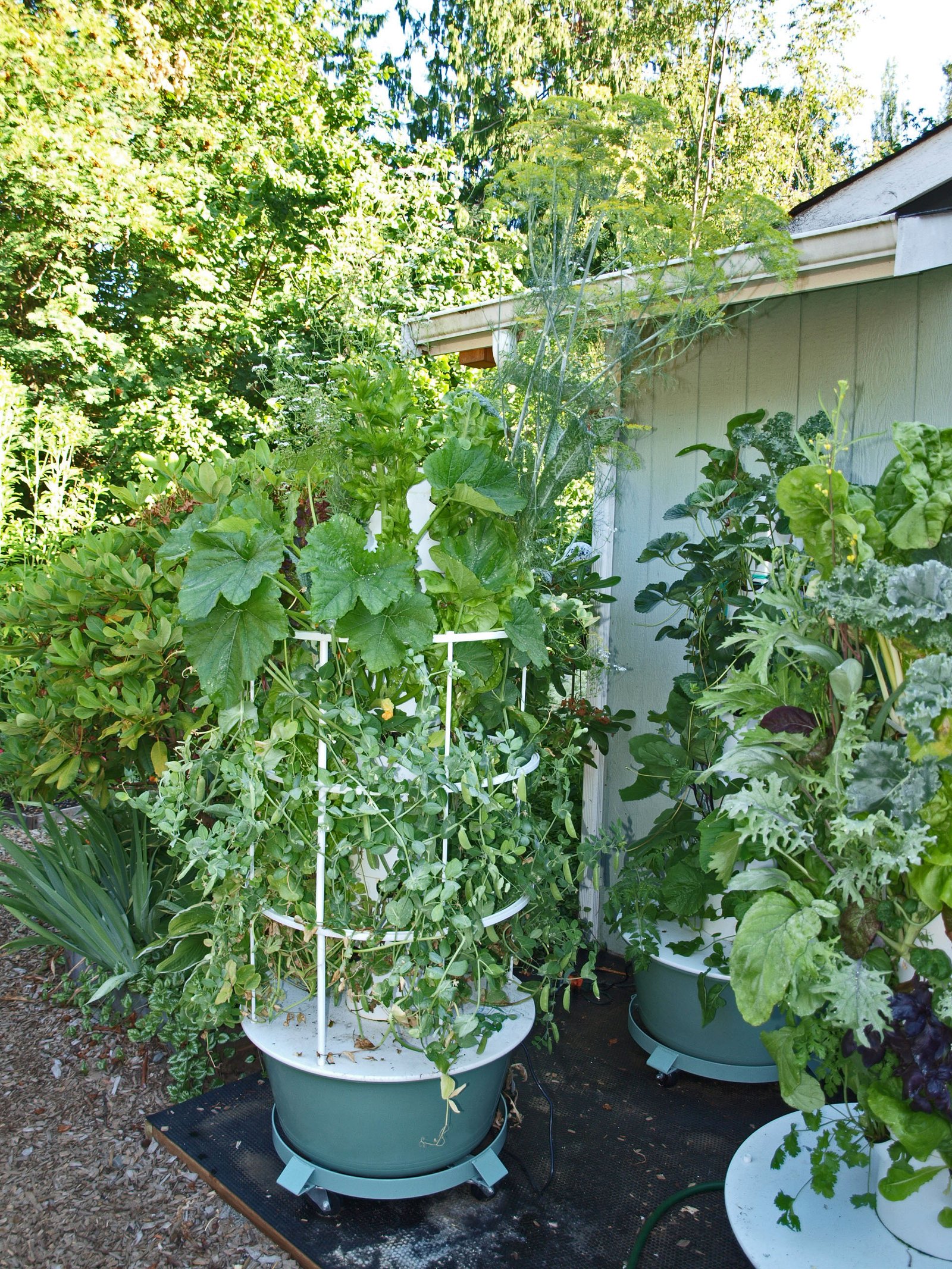 Hydroponic Gardening Tower - Garden Ftempo