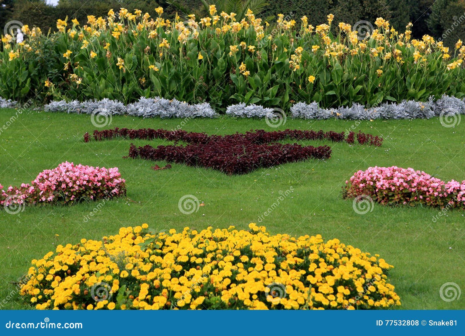 flowerbed, schönbrunn palace stock photo - image of meadow, flora