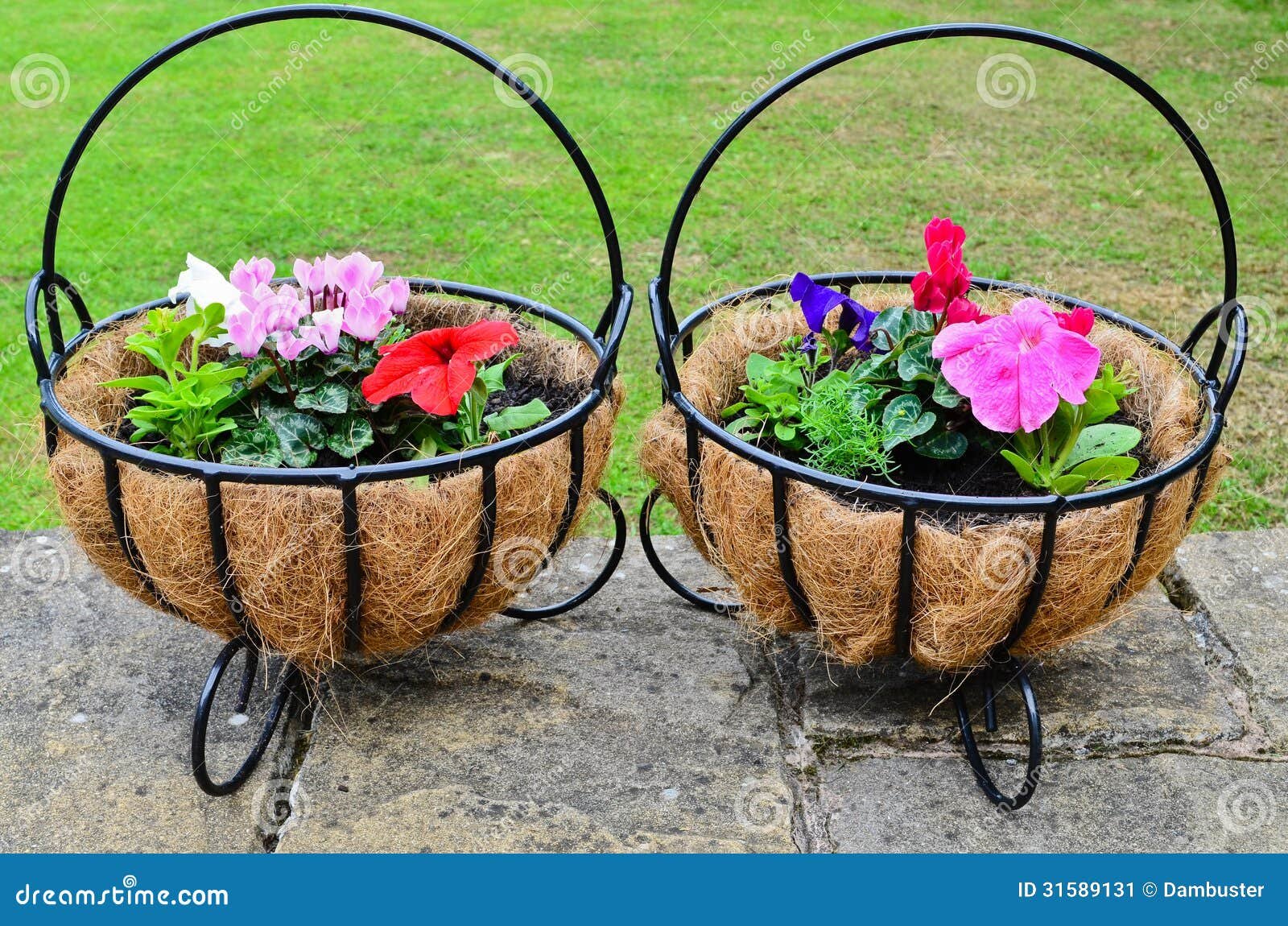 garden flower baskets stock image. image of bloom, flowers - 31589131